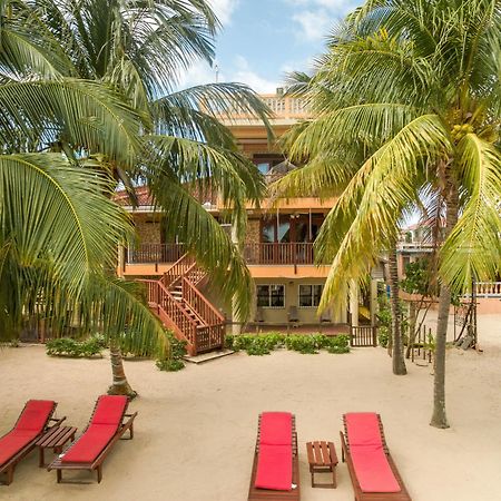 Hotel Buttonwood Belize Hopkins Exteriér fotografie